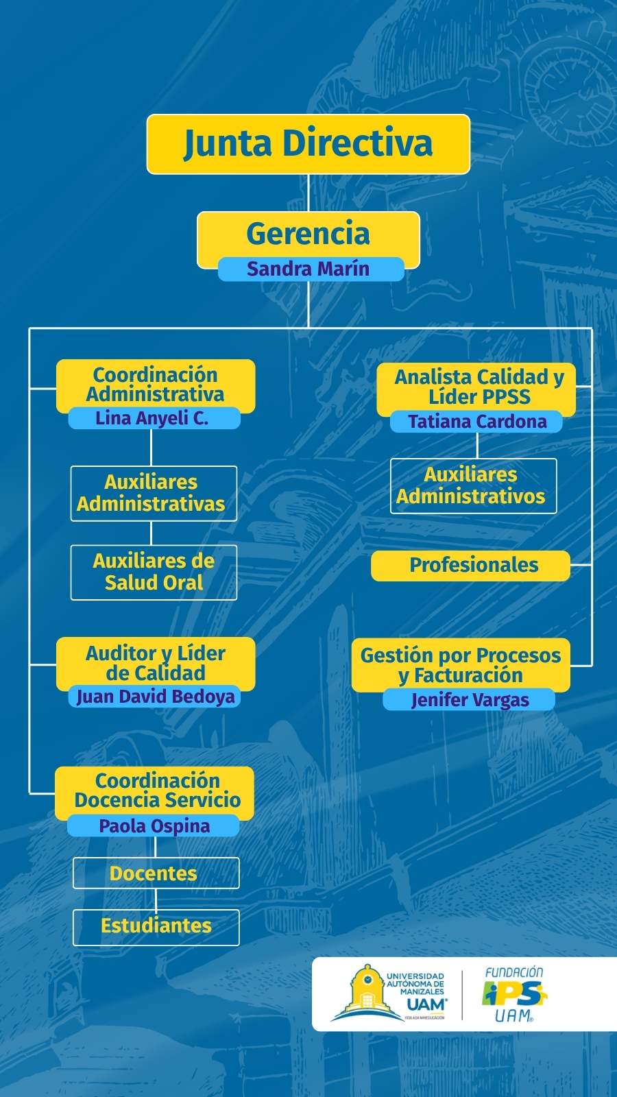 Organigrama Fundación IPS UAM
